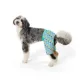 Product Top Paw® Seashell Dog Trunk Shorts