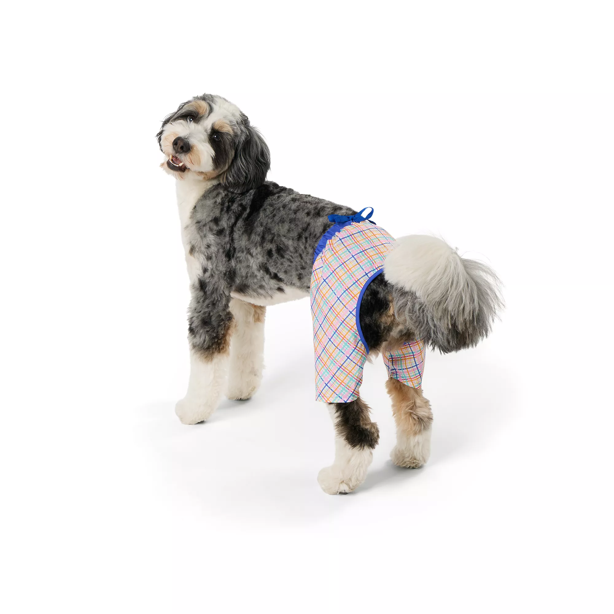 Top Paw® Plaid Swimwear - Trunks Or Bikini