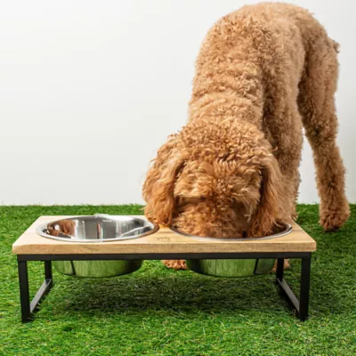 Product GF PET Mango Wood & Metal Double Feeder