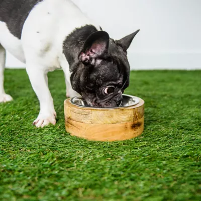 GF PET Mango Wood Bowl - Image 3