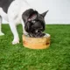 Product GF PET Mango Wood Bowl
