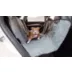 GF Pet Hammock Seat Cover - Waterproof image thumbnail 1