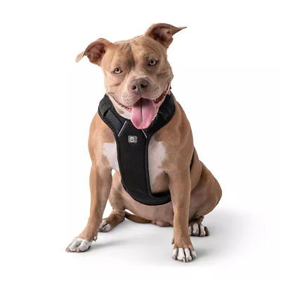 Product GF PET Travel Harness