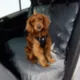 Product GF PET Travel Harness