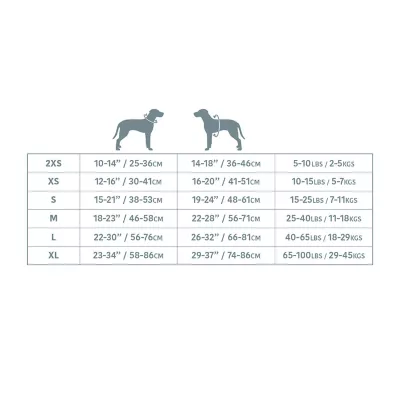 Product GF PET Travel Harness