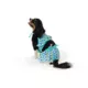 Product Top Paw® Seashell Dog Bikini