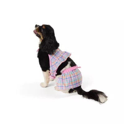 Product Top Paw® Plaid Swimwear - Trunks Or Bikini