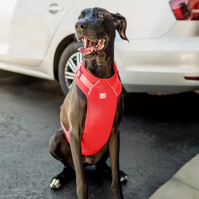 Product GF PET Travel Harness