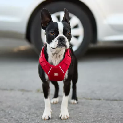 Product GF PET Travel Harness