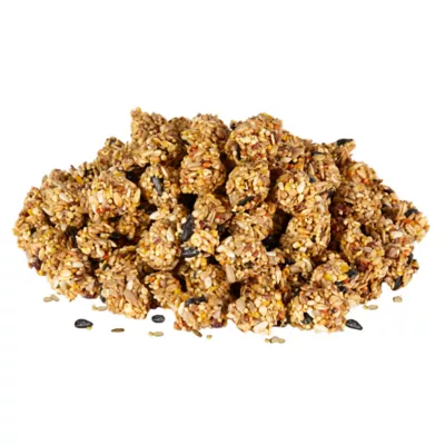 Product KAYTEE® Granola Bites With Cranberry, Apple & Flaxseed