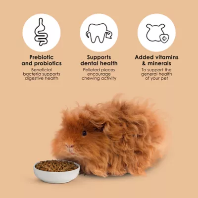 Product KAYTEE® Timothy Complete Guinea Pig Food