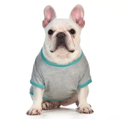 Product Disney Lilo and Stitch "Troublemaker" Dog T-Shirt
