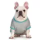 Product Disney Lilo and Stitch "Troublemaker" Dog T-Shirt