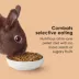 KAYTEE® Timothy Complete Rabbit Food image thumbnail 5