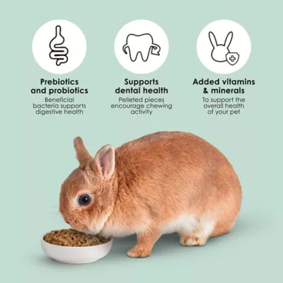 Product KAYTEE® Timothy Complete Rabbit Food