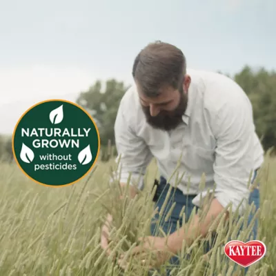 KAYTEE® All Natural Timothy Hay - Image 3