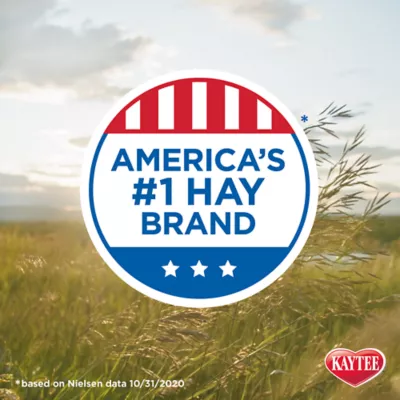 KAYTEE® All Natural Timothy Hay - Image 7