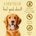 Better Belly All Life Stages Highly Digestible Chew Rings - Made with Real Chicken & Liver 9.8 oz image thumbnail 8