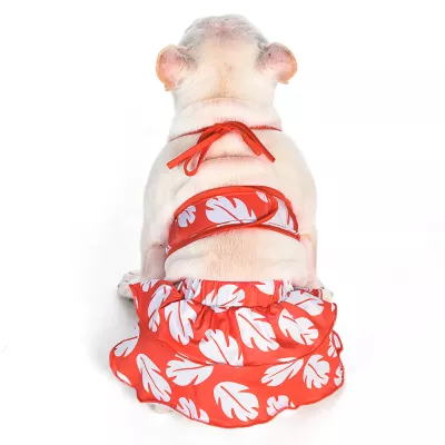 Product  Disney Lilo and Stitch Dog Bikini Bathing Suit 2-Piece
