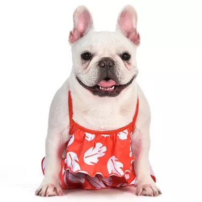 Product  Disney Lilo and Stitch Dog Bikini Bathing Suit 2-Piece