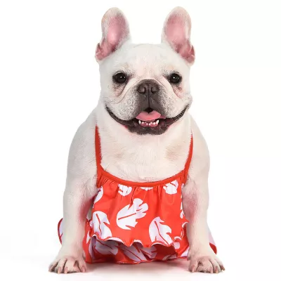 Product  Disney Lilo and Stitch Dog Bikini Bathing Suit 2-Piece