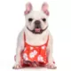 Product  Disney Lilo and Stitch Dog Bikini Bathing Suit 2-Piece