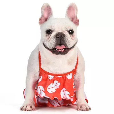 Product  Disney Lilo and Stitch Dog Bikini Bathing Suit 2-Piece
