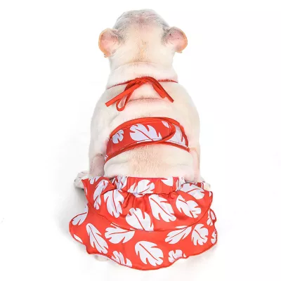 Product  Disney Lilo and Stitch Dog Bikini Bathing Suit 2-Piece