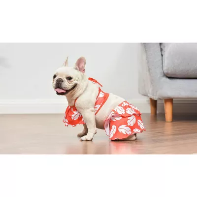 Product  Disney Lilo and Stitch Dog Bikini Bathing Suit 2-Piece