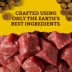 Zuke's Mini Naturals Dog Treats, Tender Bites - Beef Recipe image thumbnail 2
