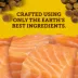 Zuke's Mini Naturals Tender Bites Dog Treats - Salmon Recipe image thumbnail 2