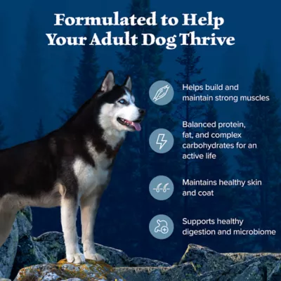 Product Blue Buffalo Wilderness Nature's Evolutionary Diet Adult Dog Dry Food - Grain Free, Chicken