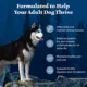 Product Blue Buffalo Wilderness Nature's Evolutionary Diet Adult Dog Dry Food - Grain Free, Chicken