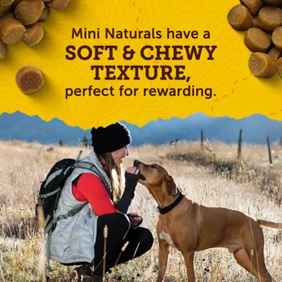 Product Zuke's Mini Naturals Tender Bites Dog Treats - Beef