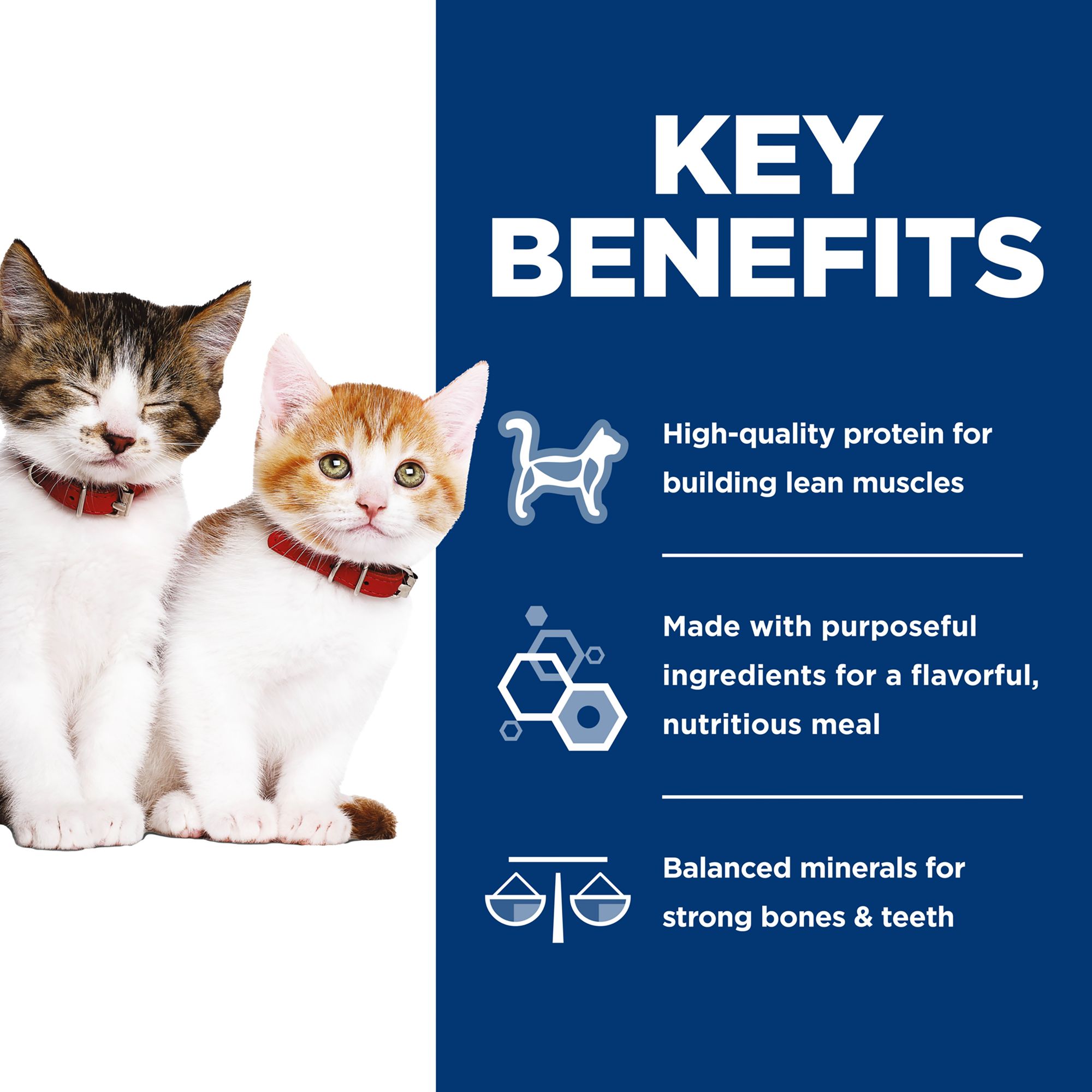 Hill's Science Diet Cat - Kitten, Variety Pack, 12 CT - thumbnail 5