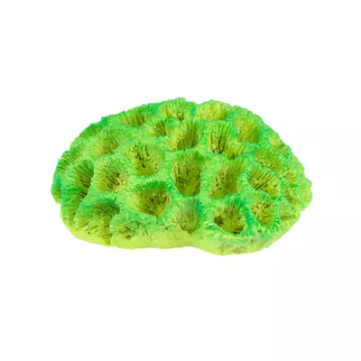 Product Top Fin Aquarium Decor - Green Glow Coral