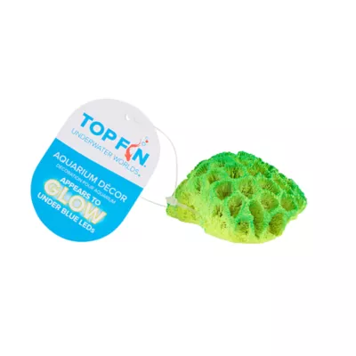 Product Top Fin Aquarium Decor - Green Glow Coral