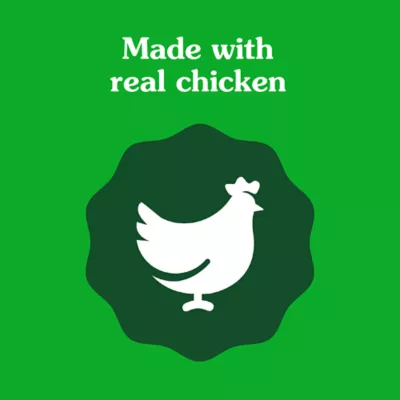 Product Greenies Dog Supplements 8-in-1 Multi-Benefit Chicken Flavor, 15.5 oz. Container