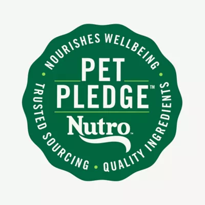 Nutro Cat -  Adult, Wet Food, Cuts in Gravy, Split Cup, 2.64 OZ - Image 5