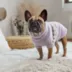 GF PET Fuzzy Sweater Lavender image thumbnail 4