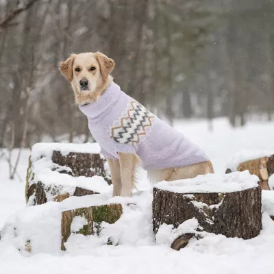 Product GF PET Fuzzy Sweater Lavender