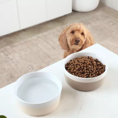 Product Waggo Ceramic Dipper Pet Bowl