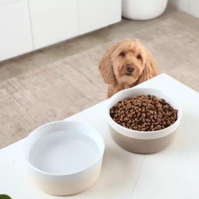 Product Waggo Ceramic Dipper Pet Bowl