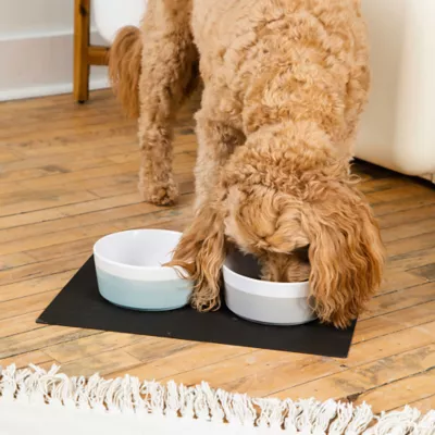 Product Waggo Ceramic Dipper Pet Bowl