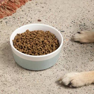 Product Waggo Ceramic Dipper Pet Bowl