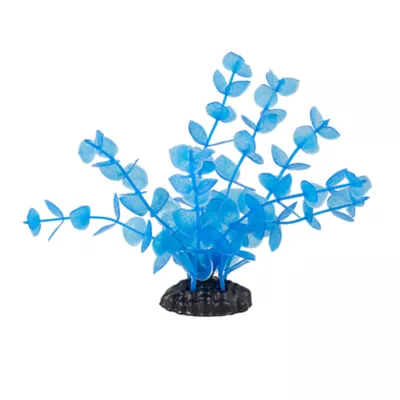 Product Top Fin Mini Blue Glow Aquarium Plant