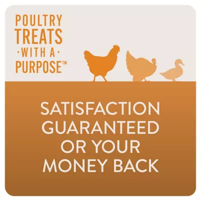 Product FlockLeader FUNctional Treats - Enhance