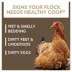 FlockLeader Healthy Coop Litter Additive image thumbnail 3