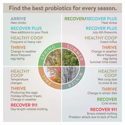 FlockLeader Healthy Coop Litter Additive - Image 6