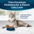 Blue Buffalo Tastefuls Multi-Protein Adult Dry Cat Food - Chicken & Turkey image thumbnail 3